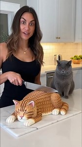 1.6M views · 20K reactions | Funny Cat Reaction: British Shorthair Protects Realistic Cat Cake from Knife  #funnycats #catvideo #viralvideo #cakeart #isitcake #catlovers #pets #funnyanimals #lol #fail #catvscake #realisticcake #protectivecat #britishshorthair #catprank #catreaction #bakingfail #heroiccat #orangecat #catsoftheinternet #donttouchmyfriend #animalinstincts #smartcat #cakedecorating #funnyfails #watchuntiltheend | Cat Texts | Facebook