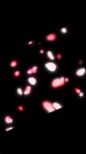 85 reactions · 18 shares | The sisters of IUIC Jackson MS, always keep the Sabbath joyfully and in unity with one another. Come join the fun by visiting israelunite.org to find a local school near you! | IUIC Mississippi | Facebook