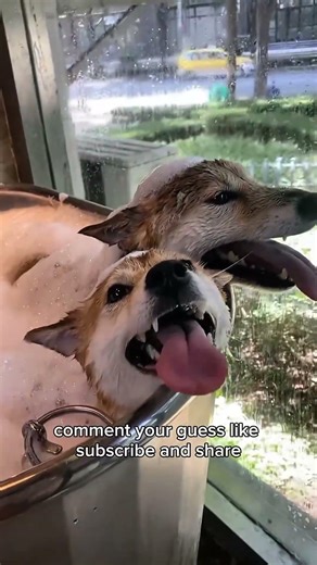 What Was That Move?! 😂