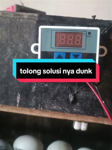 percobaan kendala thermo sensor penetasan telor ayam meledak dan kebakar hebat, tapi masih gak nyala #promomakanharian #penetastelur #ayamkampung #doc #kandangayam