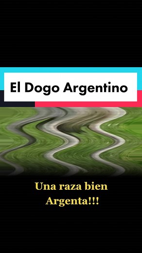 Dany Villa. on TikTok