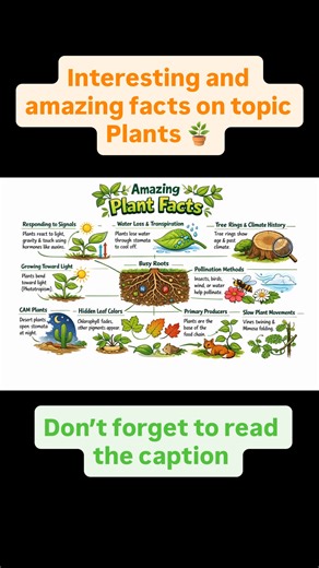 Sneha Goel Jindal | Here are plant facts one level up—still kid-friendly, but a bit more scientific and “wow” 🌿✨ 1. 🌱 Plants can communicate with each other... | Instagram