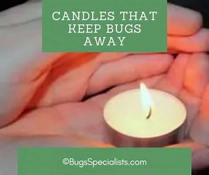 Candles that keep bugs away - Pest Control Heroes