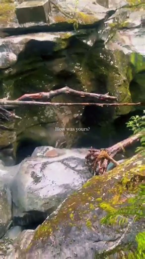 The chasm New Zealand #nature #nz #viral #travel