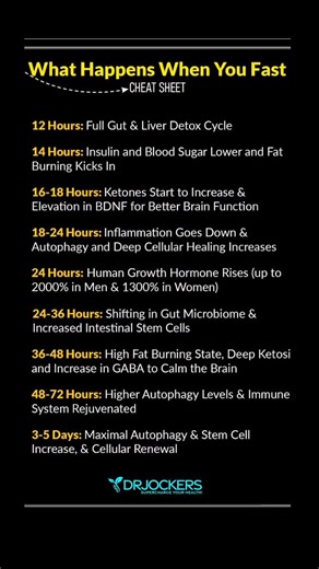 Dr David Jockers DC, DNM, MS on Instagram: "💧Water fasting has been practiced by all of our ancestors unconsciously due to a lack of available food and is intentionally practiced by many religions and cultures around the world. This healing strategy costs us no money and has an incredibly rejuvenating impact on our immune system and cellular mechanics. The only challenge is that we have to break free from the societal programming that tells us we need to have 3 meals a day and snacks in between