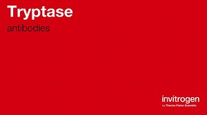 Tryptase antibodies from Thermo Fisher Scientific