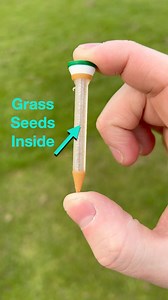 195K views · 434 reactions | These tees have built in grass seed...