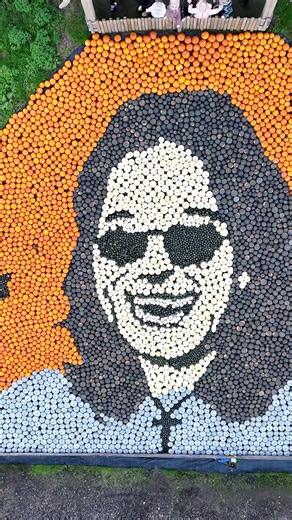 80K views · 4.9K reactions | All aboard the Crazy Train!  Ozzy...