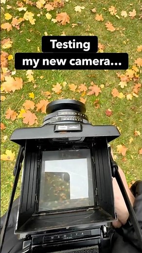 Testing my new camera… and realizing the viewfinder’s out of focus.