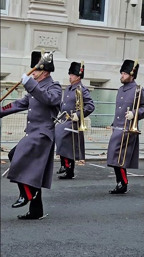 MAGNIFICENT DISPLAY! Nottinghamshire Band of the Royal Engineers