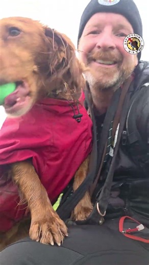 Sad Eyes [part 2] #dogwalk #dogshorts #dogsofyoutube #doggie