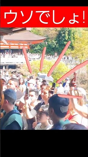 No way! Foreign tourists are stunned on the stage at Kiyomizu-dera Temple