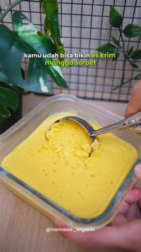 Namaste Organic on Instagram: "Cuma pake 3 bahan udah bisa bikin es krim sorbet !! Bikinnya gampang banget pulaa, yuk cobain di rumah! Bahan: - 450gr mangga (bisa diganti buah lain) - 200 gr santan - Madu (opsional starts from 1yearold) Cara Membuat: 1. Campur mangga beku, santan, dan madu lalu blender 2. Tuang ke dalam wadah dan freezer selama 1-2 jam 3. Sajikan Available at Namaste: - Madu Uray Natural Honey Squeeze 150gr – IDR 27.000 - Nucifera Coconut Milk Powder 250GR – IDR 42.000"