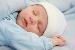 Overview: Physical Development