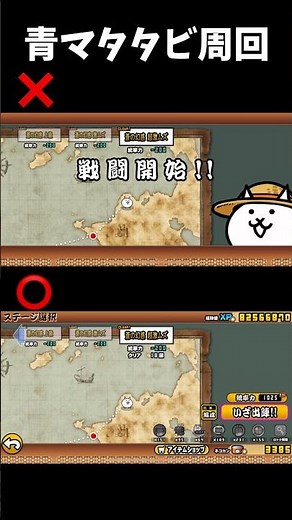 マタタビ周回の正しい仕方 #にゃんこ大戦争 #マタタビ集め