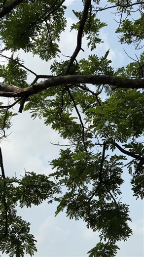 Cho em gửi lời cảm ơn chân thành đến công ty Wind Media #windmedia #Wind #Media #chinnghia#xuhuongtiktok
