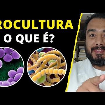 What is a urine culture and what is it for? | Prof. Dr. Victor Proença