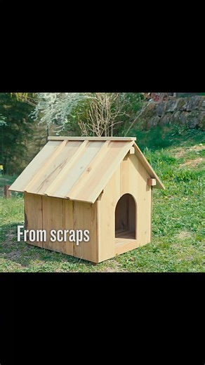 Built a dog house