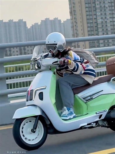 Who dares to take notice of my little bear! #motorcycle #scooter #Qianjiang Dino 150