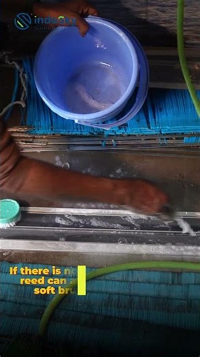 Reed cleaning & maintainance