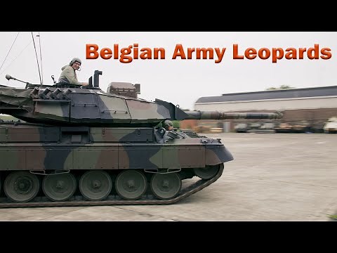 The history of the Belgian Leopard and its variants