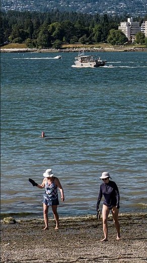 The Sigma 18-50 f2.8 Fuji X Mount + Vancouver = Amazing Versatility