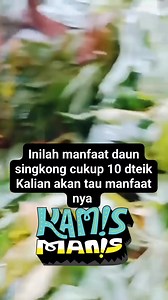 534K views · 3.8K reactions | Fahami manfaat Biji singkong dan daun nya #reelsfb #reelsfyp #trending | Putra Mandiri II | Facebook