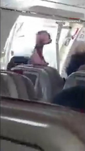 Passenger opens plane door mid-flight