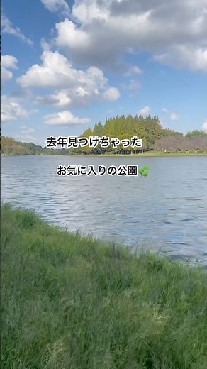【水元公園でピクニック🌿🚲】高級ディナーとか夜景もいいけど、自然を満喫できる休日が好き🥺#公園 #散歩