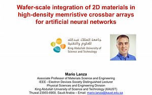 Wafer-scale integration of 2D materials in memristive crossbar arrays for ANNs
