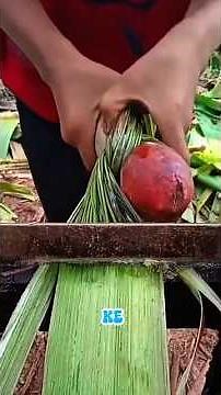 Cara Membuat Kerajinan Pelepah Pisang