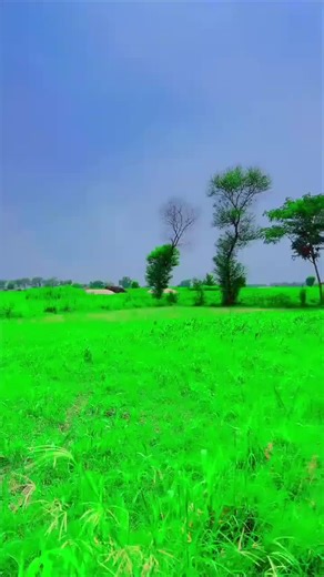 D JAAN ❤️ (@d.jaan10)’s videos with original sound - Chota_Ali ❤️