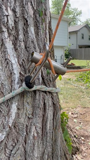 RIGGING is a very important skill in tree work. Ropes and pulleys are used with various techniques to safely guide limbs down to the ground. We have the equipment and the experience needed to execute rigging techniques in a routine manner. DM or call for a free estimate 316 214 0025 #treework | Tree Work | Facebook