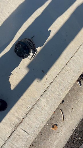 Fix it Felix Mobile Mechanic | Felix Beltran