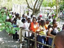 Denbigh danger - Public health safety breaches may cause shutdown of popular agricultural show