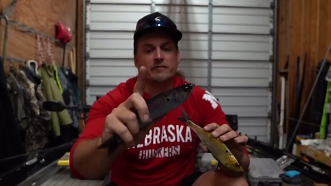 Top November Baits That Make Cold Water Fishing Worth It