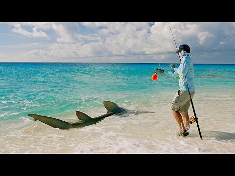 We Didn't Expect to Catch This! | Coastlines - Episode 3