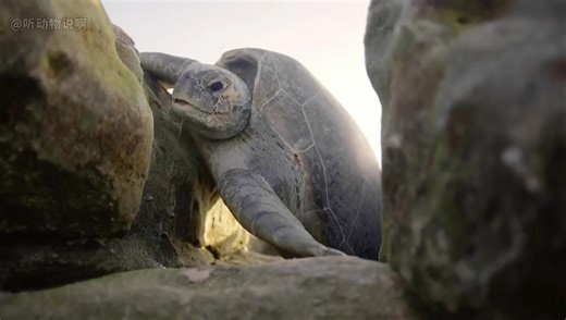 Ding (@ding17912)’s videos with original sound - Ding