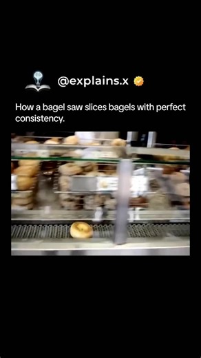 knowledge on Instagram: "A bagel saw is one of those machines that looks almost too perfect in action. Each bagel moves down a conveyor belt, lines up automatically, and then hits the spinning blade that slices it cleanly right through the center every single time. No crushing, no uneven cuts — just a smooth, flawless split in one quick motion. It’s the kind of process that’s oddly satisfying to watch, turning something as simple as slicing a bagel into a precise little piece of engineering. . .