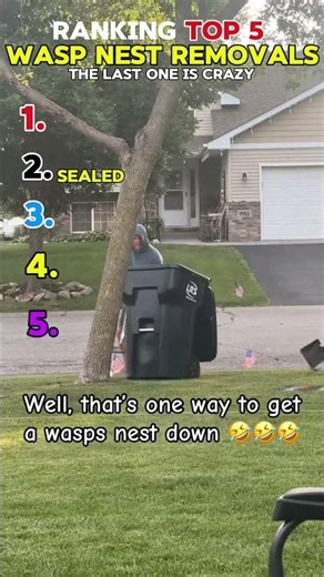 Top 5 Best Wasp Nest Removers That Actually Work 🐝 | Fast & Effective Solutions