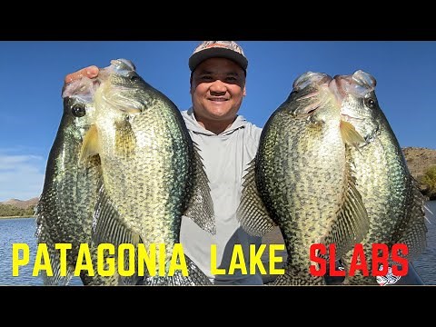how to catch crappie - Patagonia lake, Southern Arizona