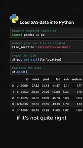 🐍 How to load #SAS data into #python