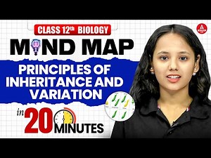Class 12 Biology Principles of Inheritance and Variation in 20 Minutes | Biology Chapter 4 Mind Map
