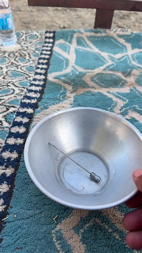 علوم بقرتنا وطرق حلب الحليب بأسلوب متميز