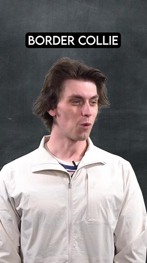 Search and Rescue Dog Training - Tracking Human Scent Lesson