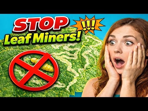 Leaf Miners Destroying Your Plants? Fix It NOW!
