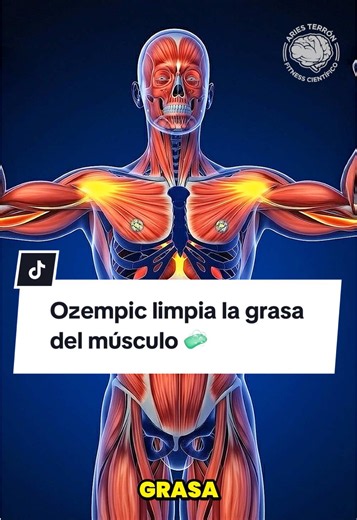 Ozempic limpia la grasa del músculo 🧼 #glp1 #semaglutida #ozempic #mounjaro #efectossecundarios