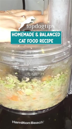 🥣 Balance matters—even in your cat’s bowl! 🐱 This balanced homemade cat food recipe is thoughtfully made to support complete nutrition while giving you full control over ingredients. 💛✨ 👉 Tap here to get the full recipe: https://topdogtips.com/recipe-balanced-homemade-cat-food-recipe/ #BalancedCatFood #HomemadeCatFood #HealthyCats #CatNutrition #CatMomLife #TopDogTips | Top Dog Tips