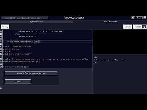 FreeCodeCamp - Python Project - Step 18 of 19 - Pin Extractor
