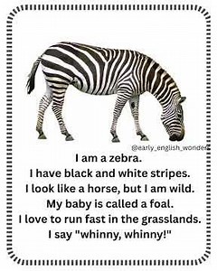 🦓 "I Am a Zebra!" | Fun & Wild Animal Learning for Preschoolers 🌍🎨